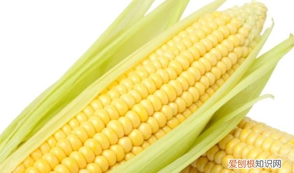 煮熟的玉米要怎么保存,煮好的玉米怎么保存新鲜