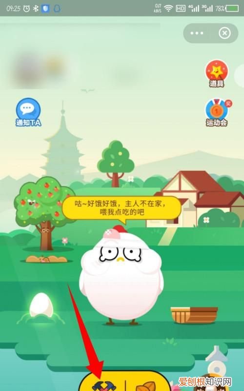 猫为什么要吃老鼠蚂蚁庄园