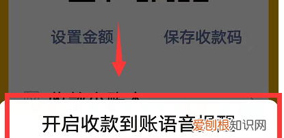 支付宝收钱播报盒没有声音,收钱码语音提醒没有声音怎么办