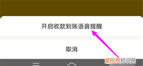 支付宝收钱播报盒没有声音,收钱码语音提醒没有声音怎么办