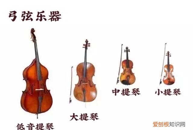古典西方乐器有哪些,古典敲击乐器有哪些