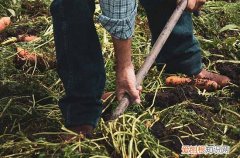 劳动节发给客户的文案 劳动节发给客户的短信