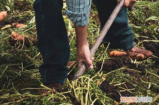 劳动节发给客户的文案 劳动节发给客户的短信