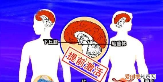 什么叫性早熟