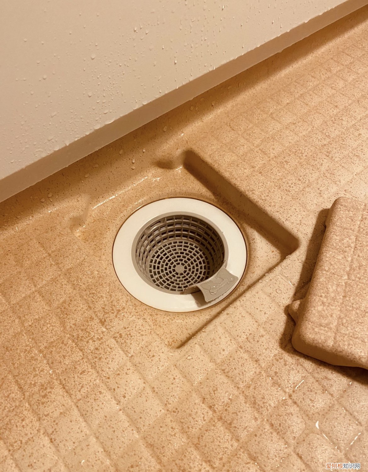 日本马桶圈什么牌子好