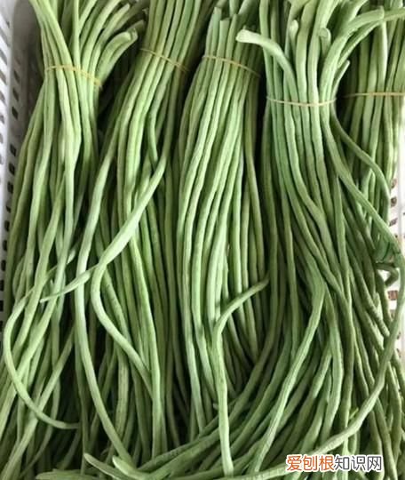 豆角怎么保存时间长新鲜，豆角怎么放冰箱保存时间最长