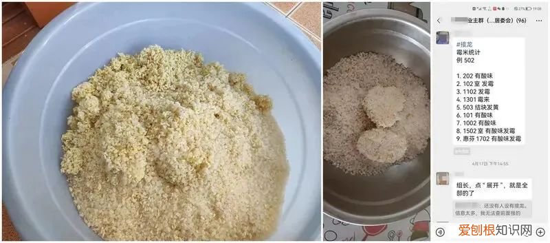 上海大礼包腐败时间,已有5名干部被免