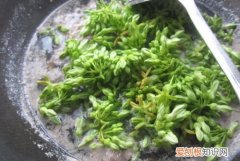 桂香又叫什么，夜香花怎么做才好吃