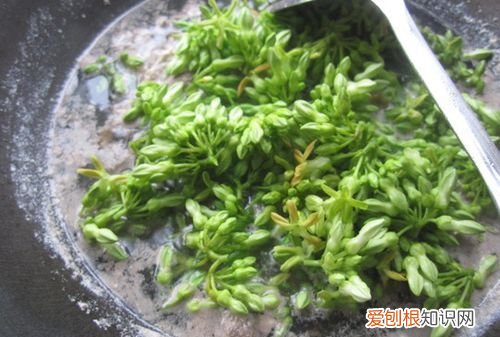 桂香又叫什么，夜香花怎么做才好吃