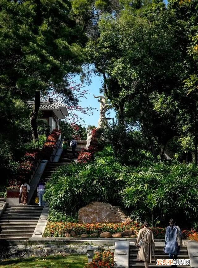 零零鲸家族国庆出游攻略—越秀公园