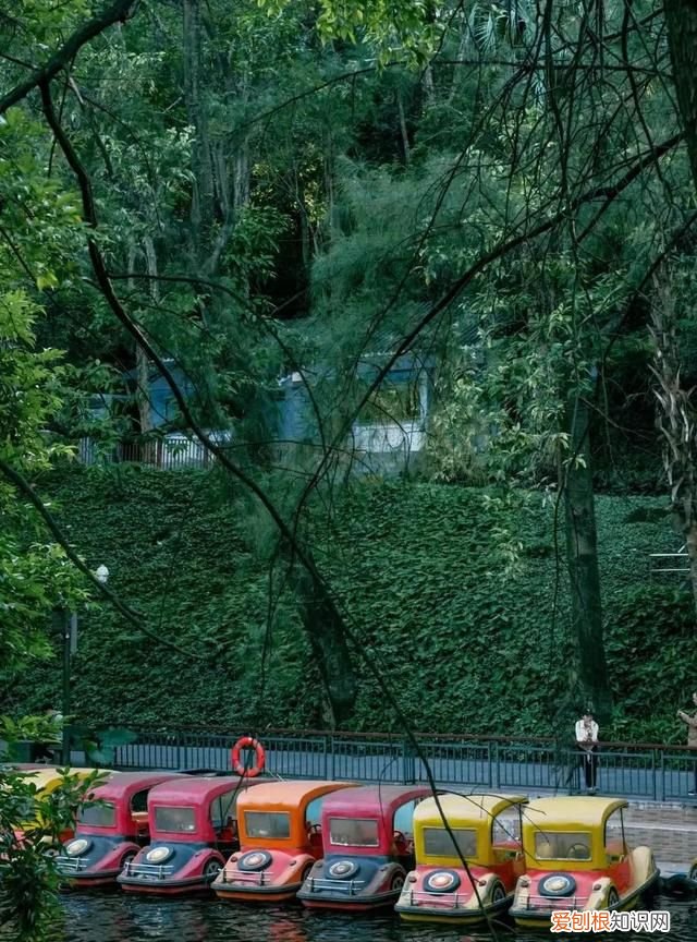 零零鲸家族国庆出游攻略—越秀公园