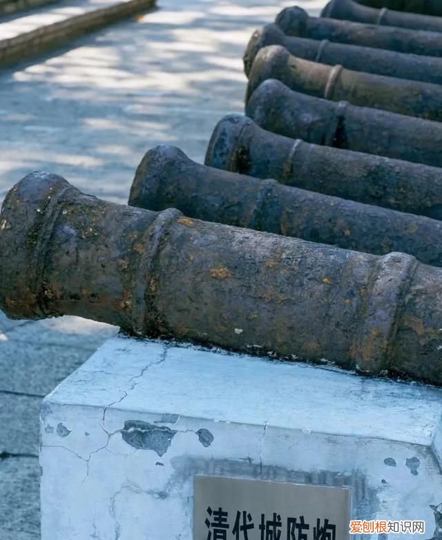 零零鲸家族国庆出游攻略—越秀公园