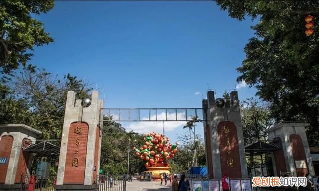 零零鲸家族国庆出游攻略—越秀公园