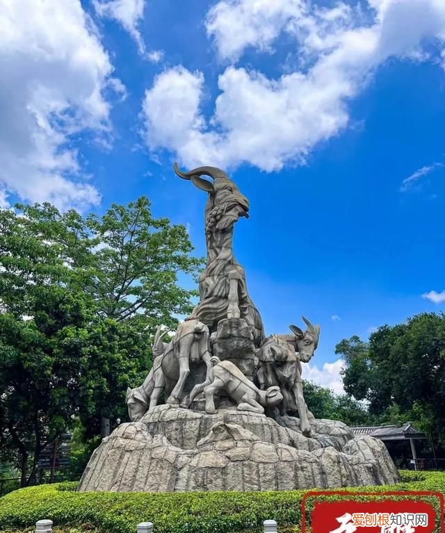 零零鲸家族国庆出游攻略—越秀公园