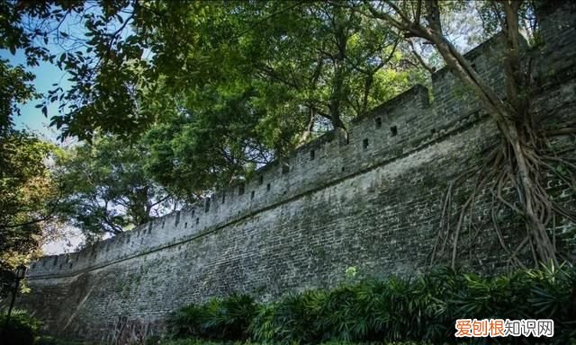 零零鲸家族国庆出游攻略—越秀公园