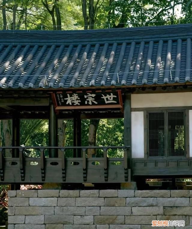 零零鲸家族国庆出游攻略—越秀公园