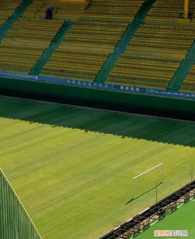 零零鲸家族国庆出游攻略—越秀公园