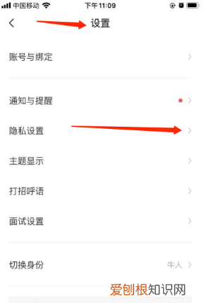 boss直聘怎么隐藏自己的简历