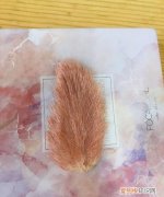 芒果怎么切盒好看，芒果核怎么做工艺品