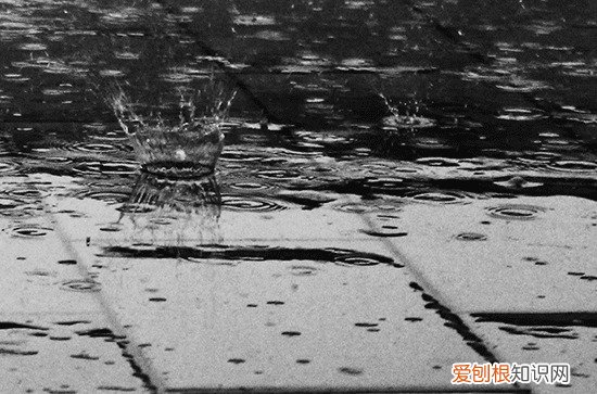 谷雨适合发朋友圈说说文案精选