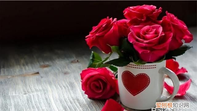 表达爱意送女生什么礼物