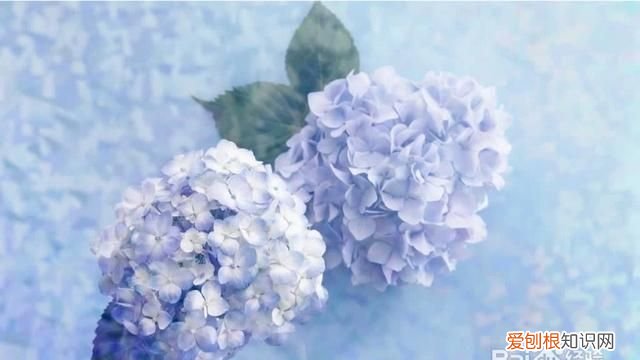 表达爱意送女生什么礼物