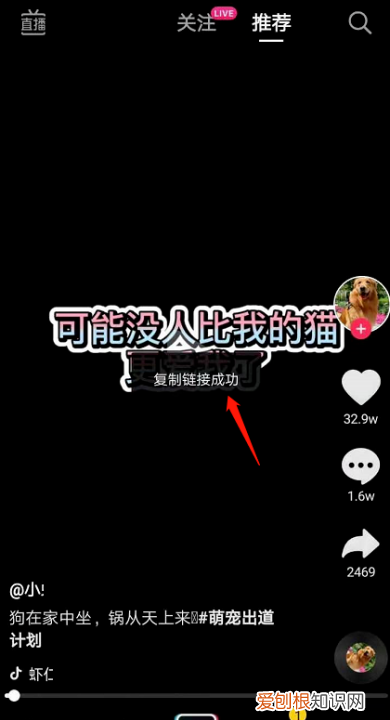抖音头像怎么弄,抖音咋得才能右下角复制链接