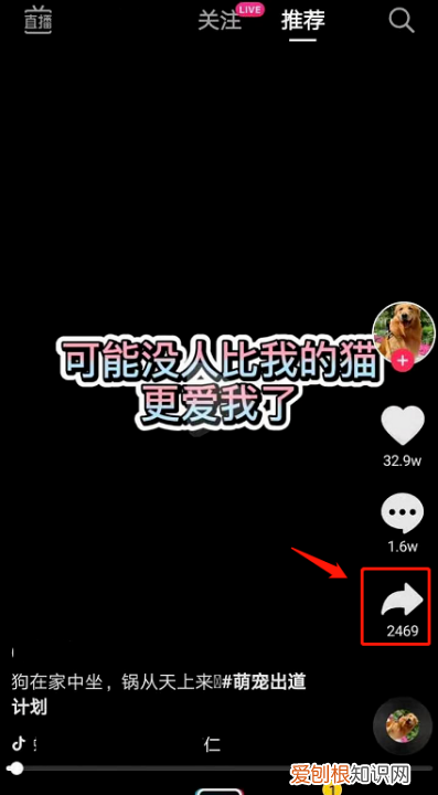 抖音头像怎么弄,抖音咋得才能右下角复制链接