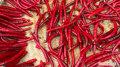 四川农家辣椒酱的做法