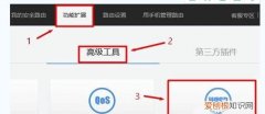 wisp模式是什么意思
