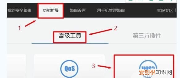 wisp模式是什么意思