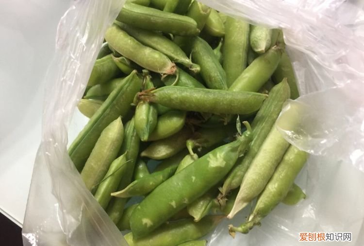 豌豆夏季怎么保存