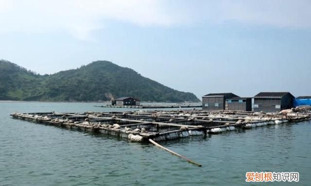漳州最值得去的5个景点,漳州值得一去的景点
