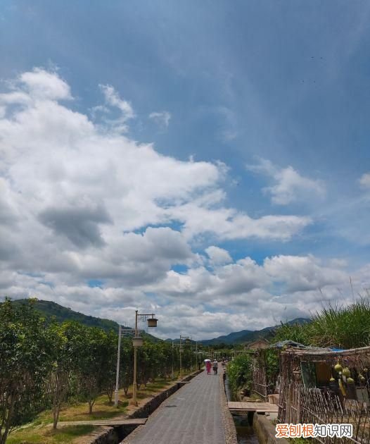 漳州最值得去的5个景点,漳州值得一去的景点