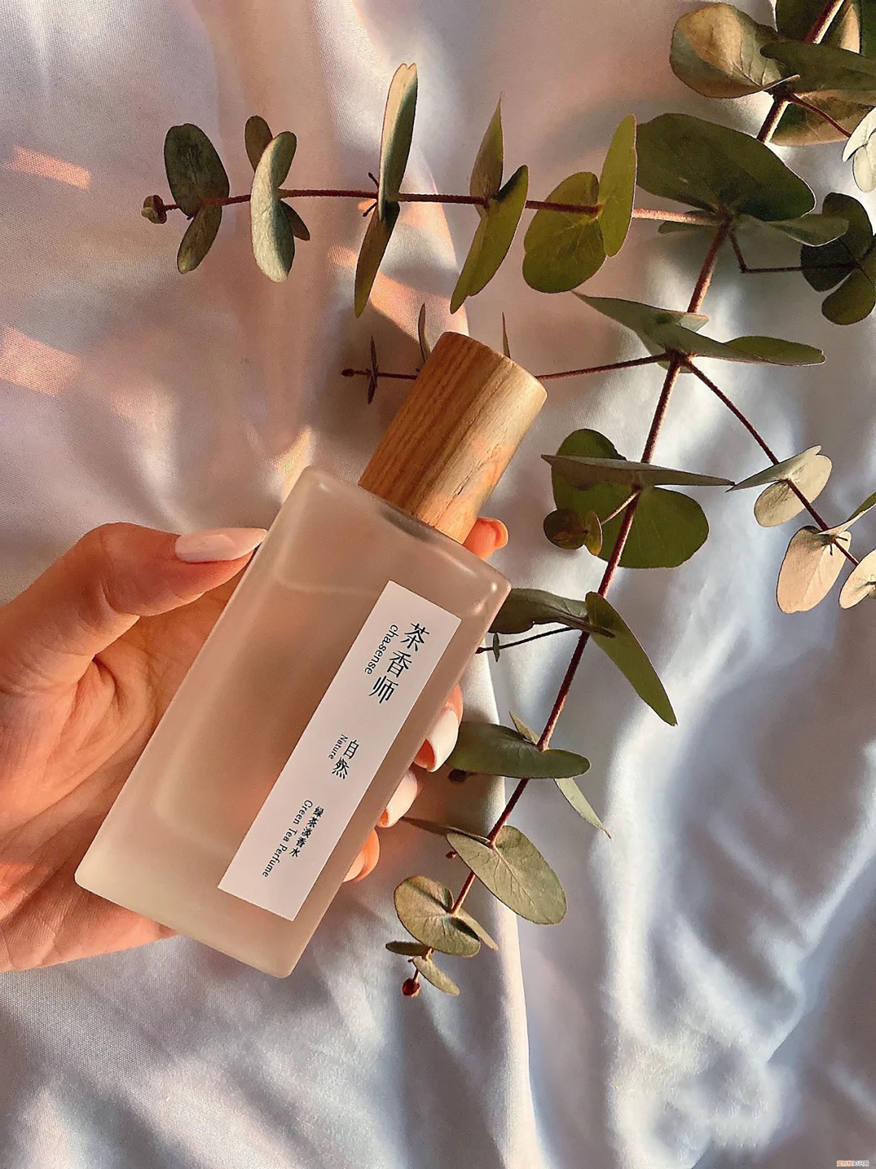 雅顿绿茶香水怎么样