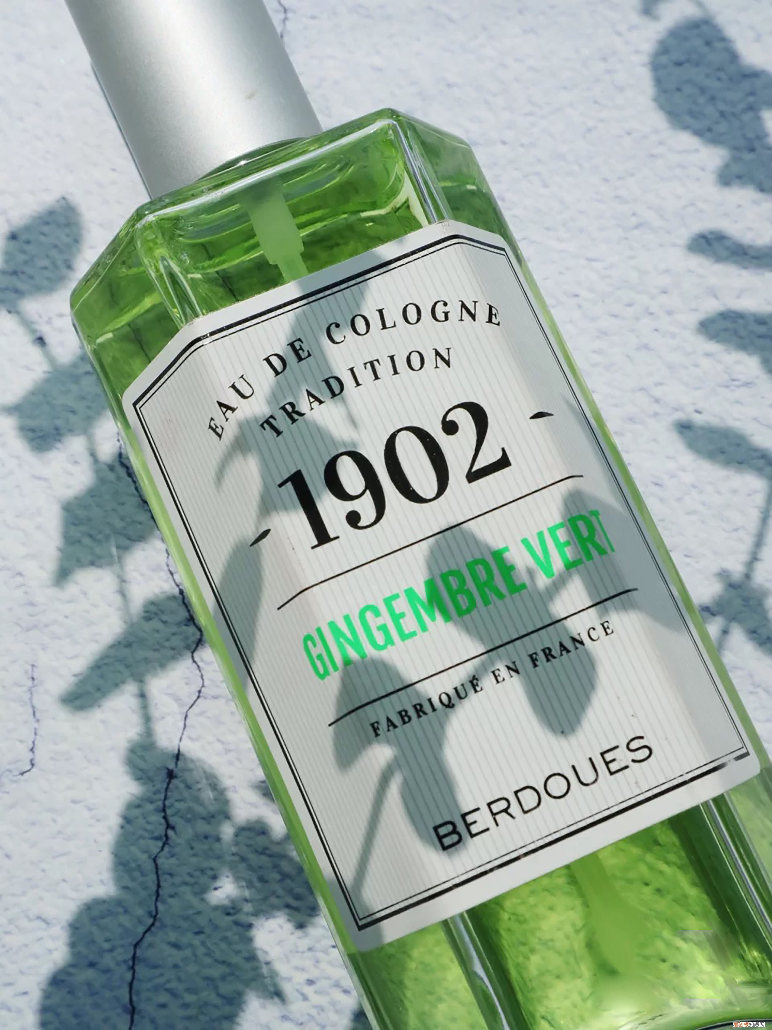 雅顿绿茶香水怎么样