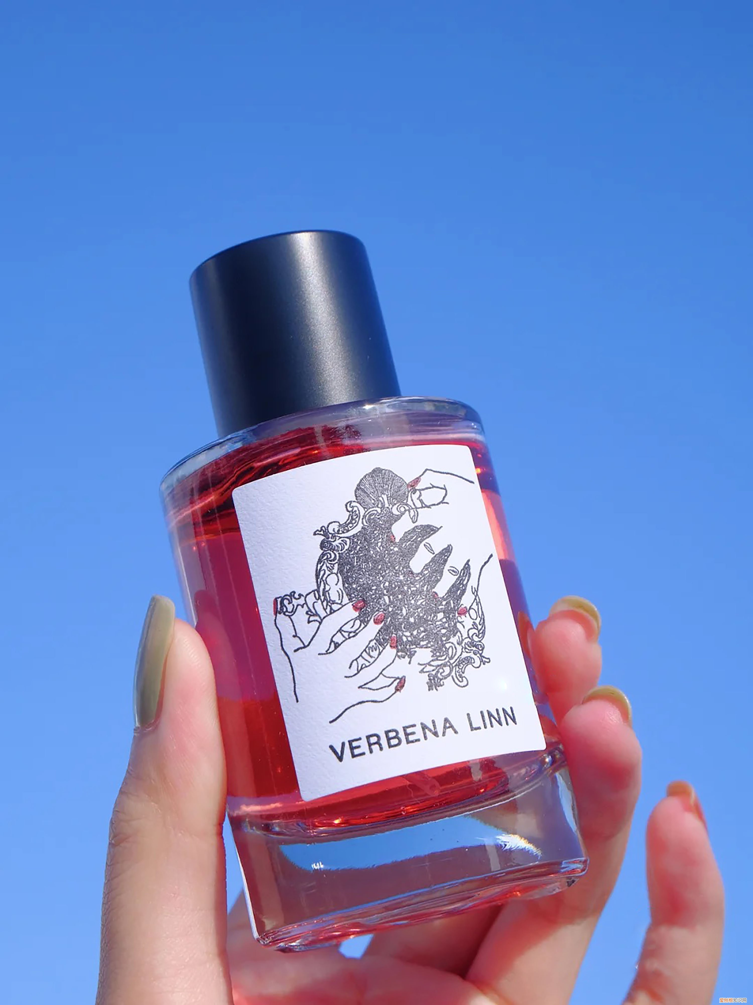 雅顿绿茶香水怎么样