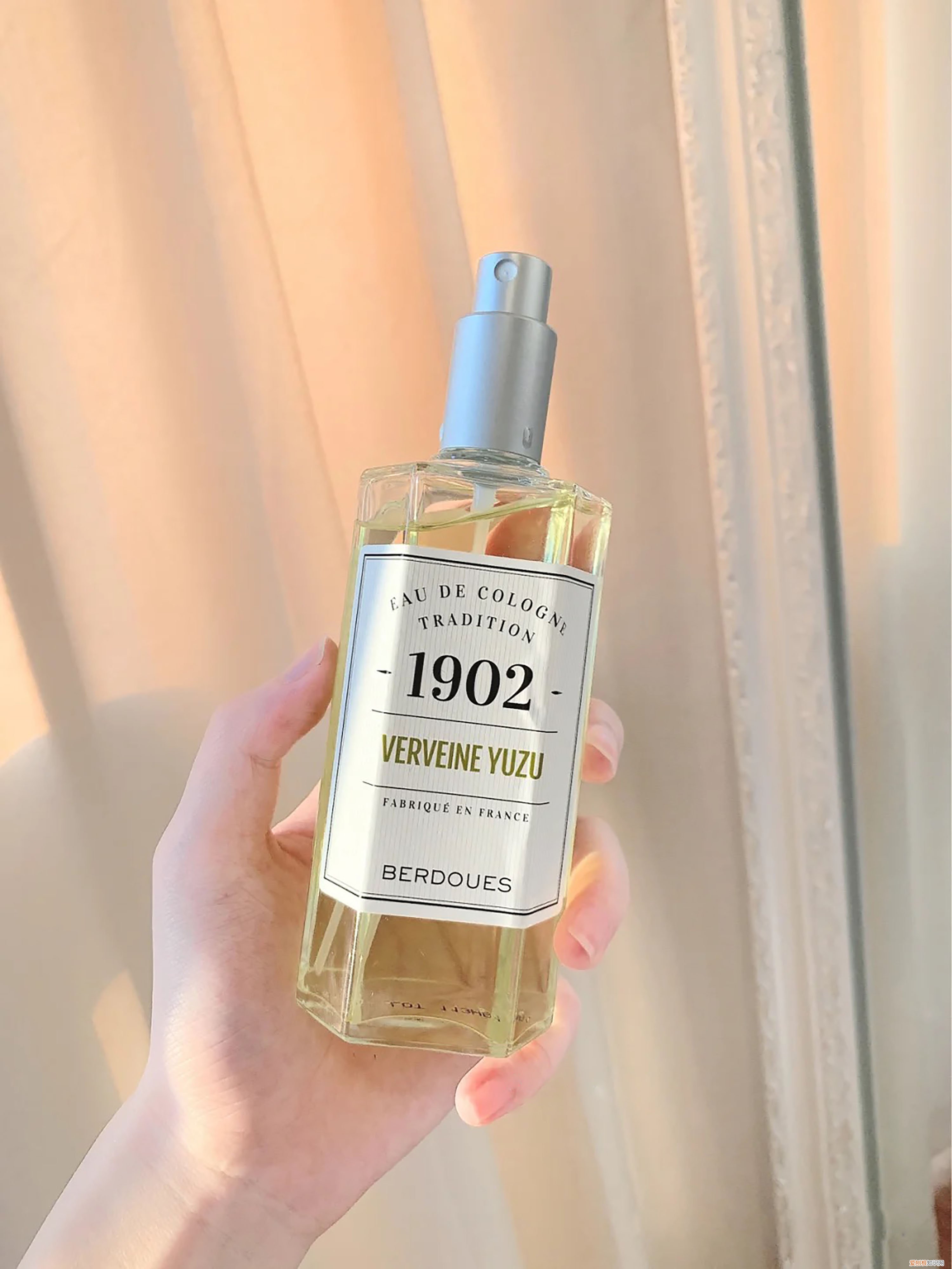 雅顿绿茶香水怎么样