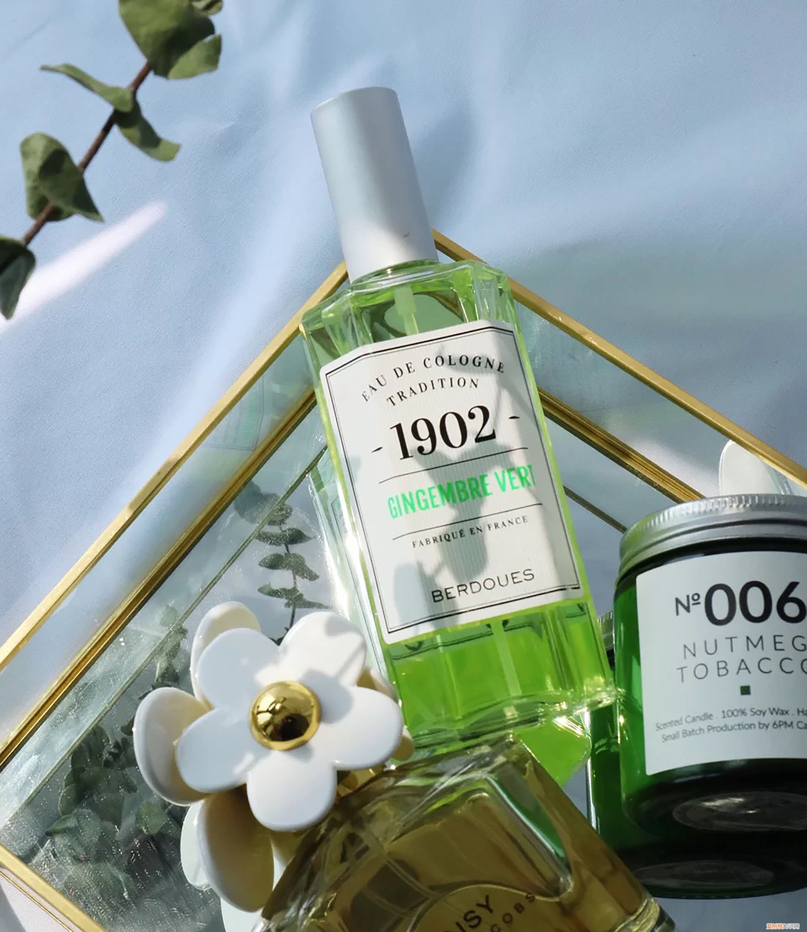 雅顿绿茶香水怎么样