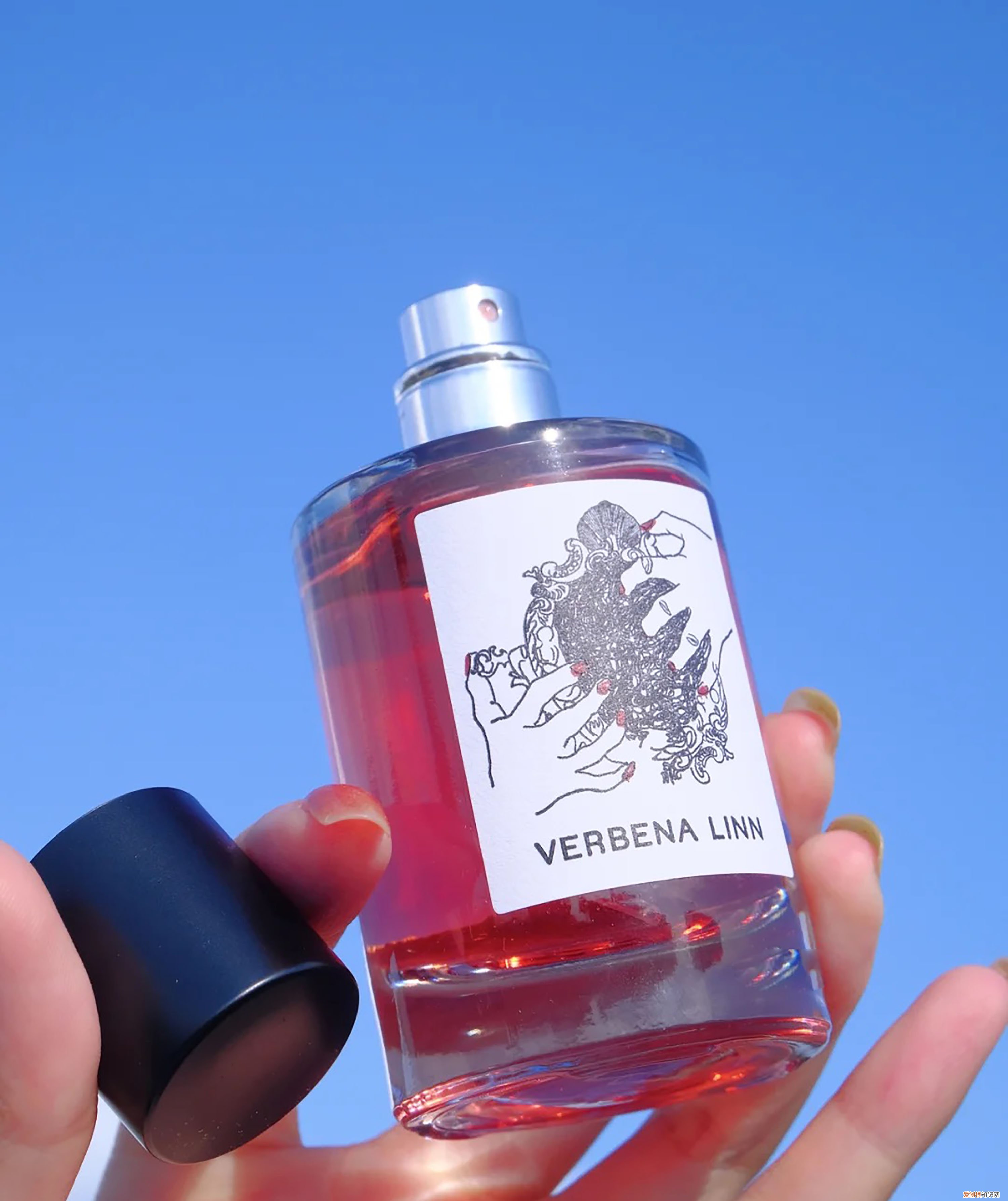 雅顿绿茶香水怎么样