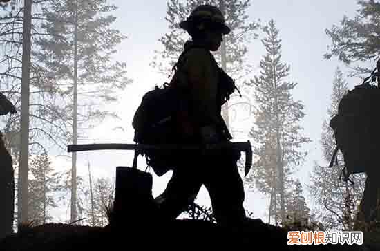 上山时哪种方式更为科学省力 山上怎么上最不吃力