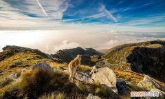 走之旁都和啥有关