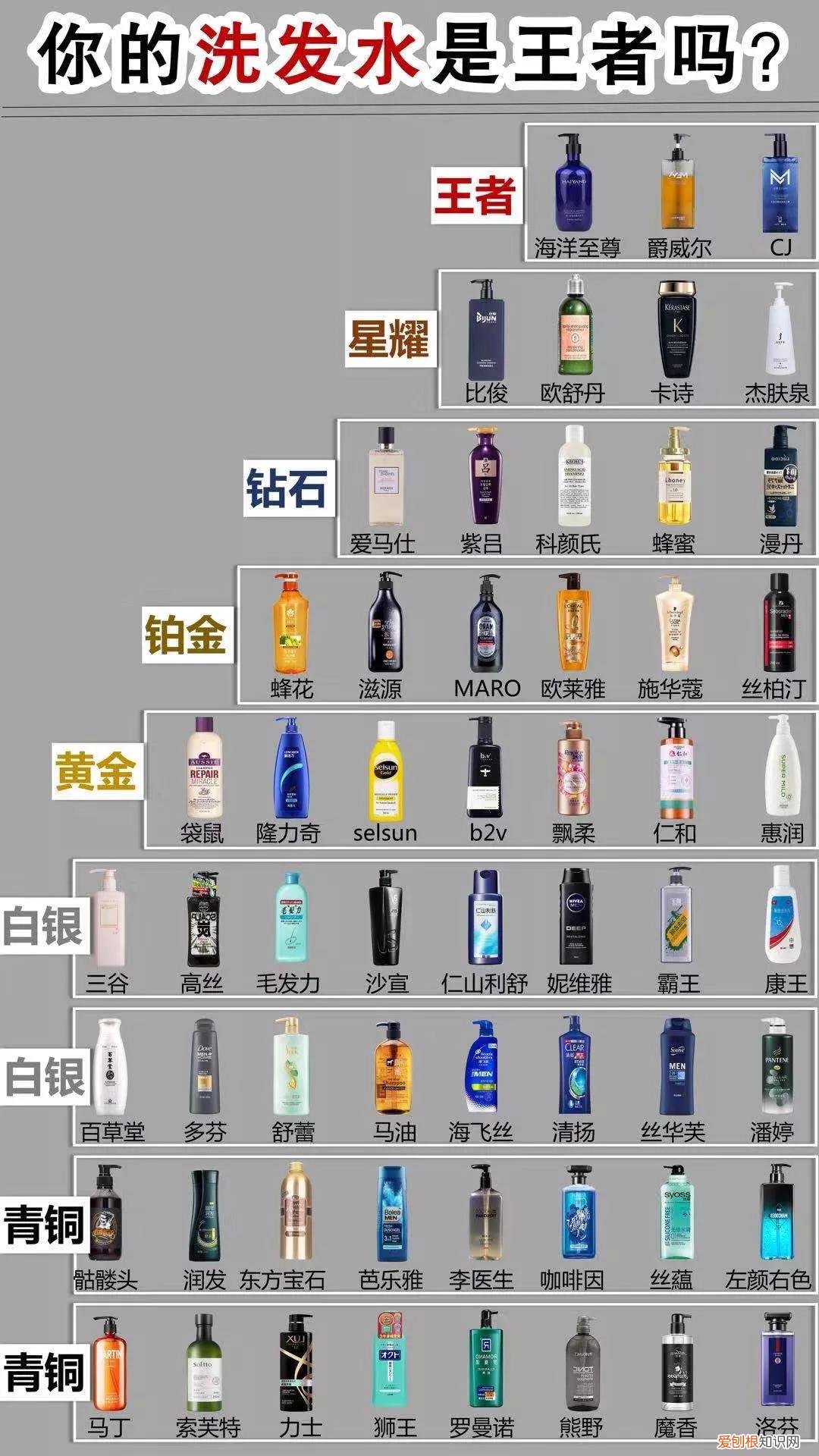 男士洗发水哪个品牌好