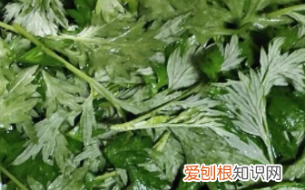 青团皮怎么做不发硬，青团不变硬用什么方法