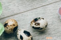 2023快手最火的歌曲有哪些