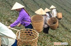 2023年4月23日补哪天的班周几的课