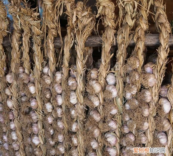 大蒜如何保存不发芽