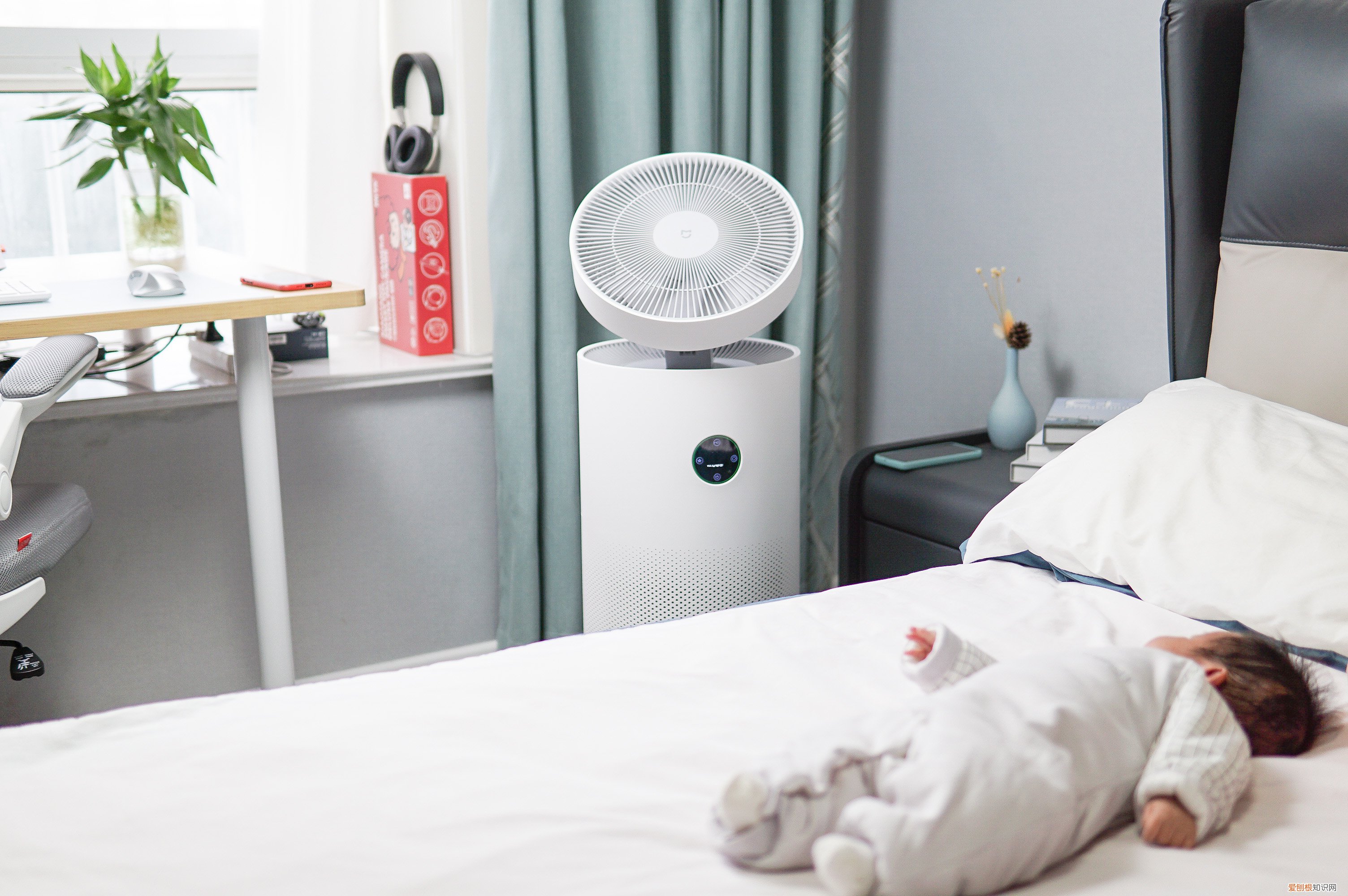 小米空气净化器评测对比