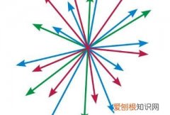 知道向量的坐标怎么向量的模