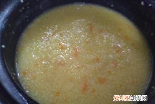 小猫拉肚子怎么办